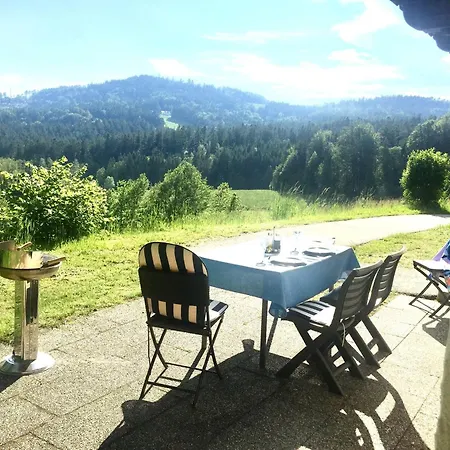 Grosse-ferienwohnung-pool-sauna-hallenbad-wintersport-bei-passau Appartamento *